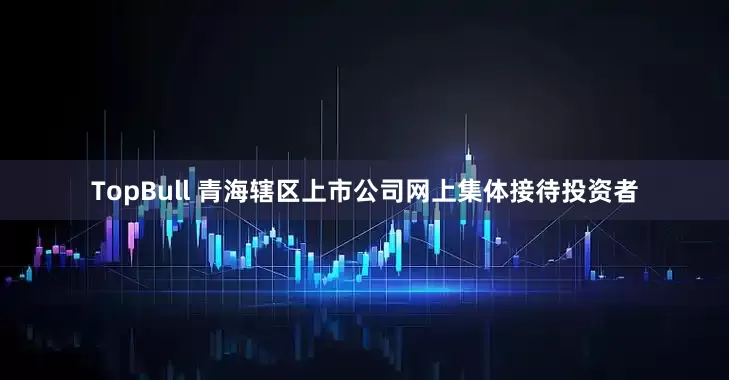 TopBull 青海辖区上市公司网上集体接待投资者