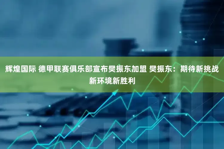 辉煌国际 德甲联赛俱乐部宣布樊振东加盟 樊振东：期待新挑战新环境新胜利