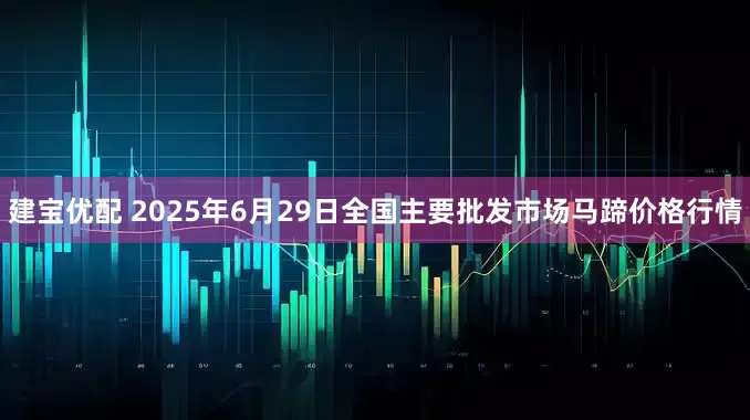 建宝优配 2025年6月29日全国主要批发市场马蹄价格行情