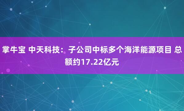 掌牛宝 中天科技：子公司中标多个海洋能源项目 总额约17.22亿元